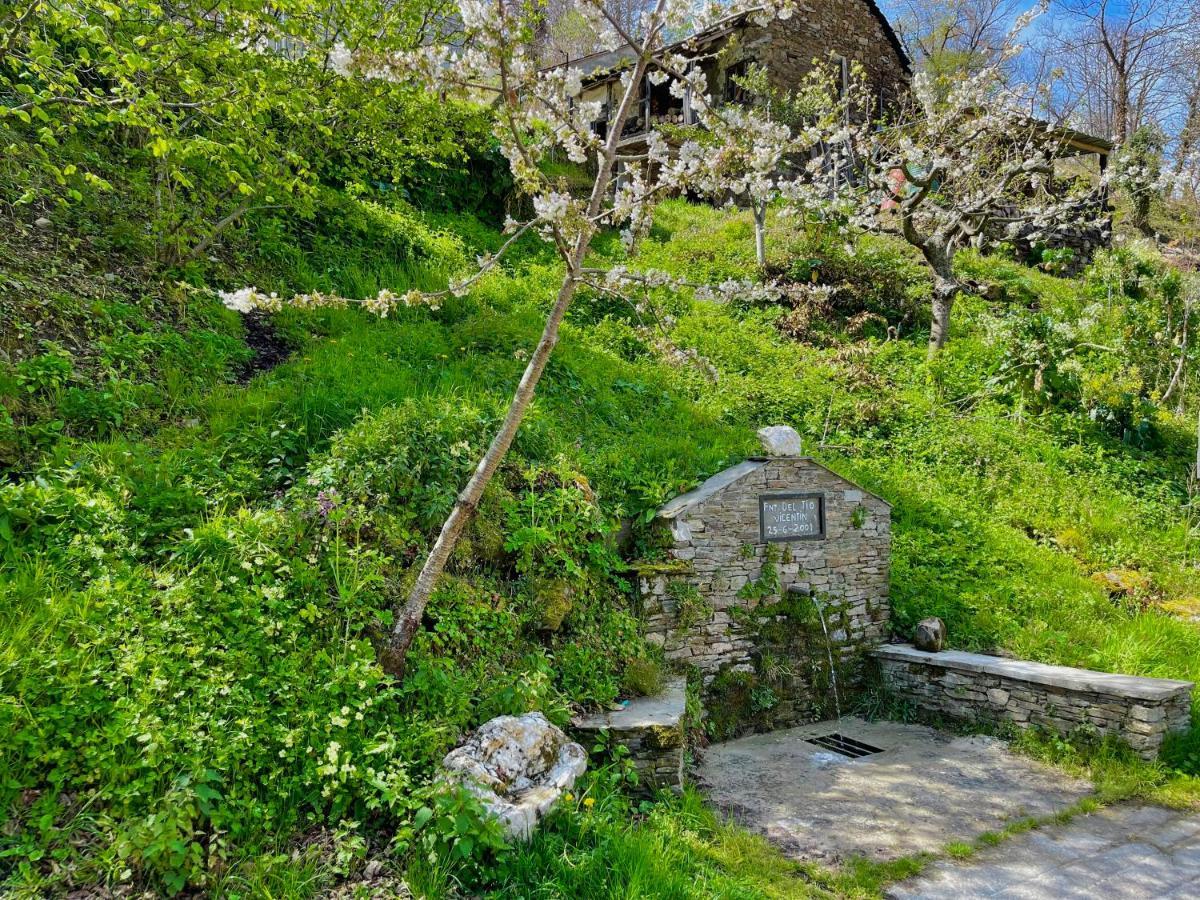 Casa Folibar - Desconexion En Plena Naturaleza - Valle Del Silencio Manzanedo de Valdueza Ngoại thất bức ảnh
